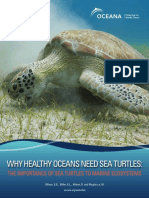 Why_Healthy_Oceans_Need_Sea_Turtles.pdf