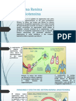 Sistema Renina y Angiotensina