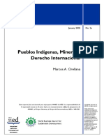 Pueblos Indigenas y Mineria