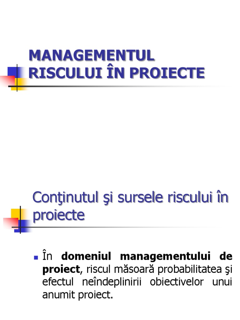 Managementul Riscului În Proiecte - Simion | PDF