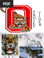 Download Project Tiger by DevN9 SN35300904 doc pdf