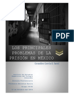 Derecho Penitenciario_ Trabajo Final