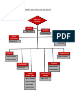 Esquema Organizacional Del Equipo