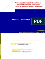 Tema: Mitosis: Universidad Privada Antenor Orrego Escuela Profesional Enfermería Curso de Biología Celular y Molecular