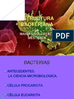 e Structur a Bacterian A