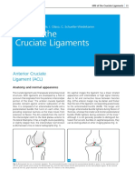 Knee MR Findings Abnormality