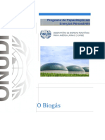 BiogasConteudo_extensivo_PT.pdf