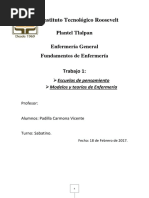 Modelos de Enfermería