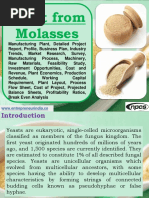 Download Yeast from Molasses Manufacturing Plant Detailed Project Report Profile Business Plan Industry Trends Market Research Survey Manufacturing Process Machinery Raw Materials Feasibility Study Investment Opportunities Cost and Revenue Plant Economics Production Schedule Working Capital Requirement Plant Layout Process Flow Sheet Cost of Project Projected Balance Sheets Profitability Ratios Break Even Analysis by Ajay Gupta SN353047179 doc pdf