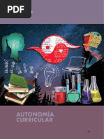 Ambitos Autonomia Curricular