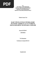 Baku-Tiflis-Ceyhan - Petrol - Boru - Hattinin Azerbaycan Ve Türkiye Ekonomilerine Muhtemel Etkileri PDF