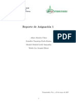 Reporte Asignacion 1 PDF