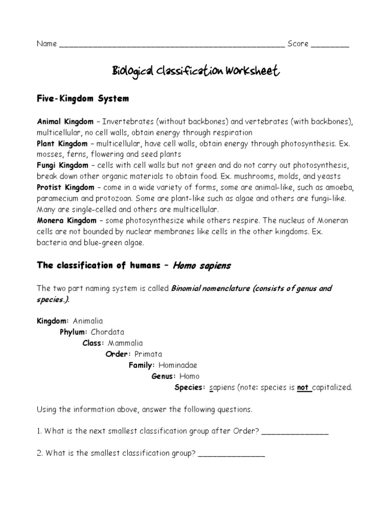Biological Classification Worksheet: Five-Kingdom System | PDF ...