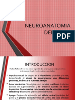 Neuroanatomia Del Amor 1