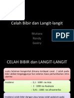 Celah Bibir Dan Langit-Langit