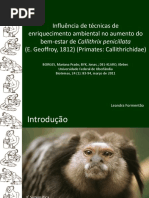 apresentação_bemestar