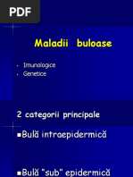 Buloase_ Si Sifilis Ian 2017 SCRIS