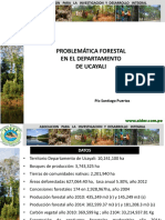 Tema 1. Problematica Forestal en Ucayali