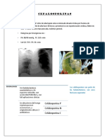 Cefalosporinas Quinolonas Cotrimoxazol