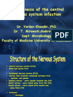 Pathogenesis of The Central Nervous System Infection