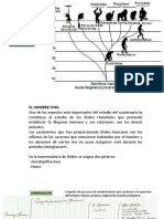 Hombre Folsil-filogenia Humana