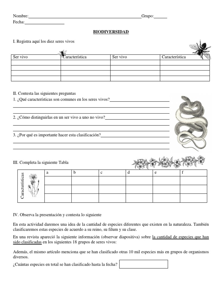 Actividad Biodiversidad Ciencias 1 Secundaria Organismos Especies