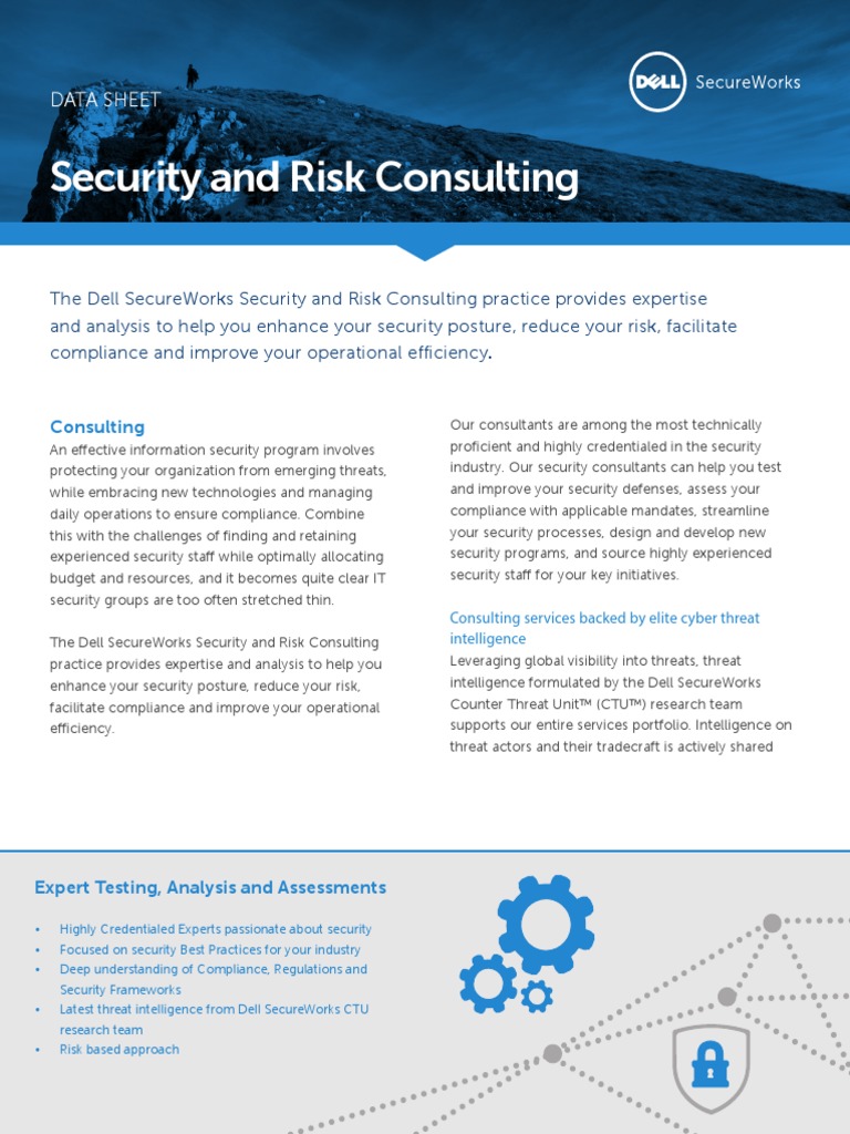 Datasheet Security and Risk Consulting | PDF | Threat (Computer ...