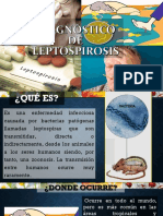 DIAGNÓSTICO-DE-LEPTOSPIROSIS.pptx