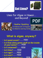 algae.uses.highschool.ppt