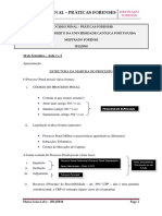 189262262-Mestrado-Forense-Processo-Penal-Teoricas.pdf