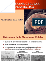 Membrana Celular (1ra)