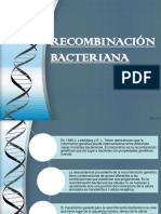 Recombinación Bacteriana