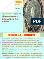 Semilla Partes