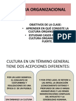 Cultura Organizacional