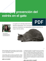 Manejo y Prevención Del Estrés en El Gato