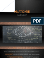 Anatomie Schéma-Commentaire - Odp