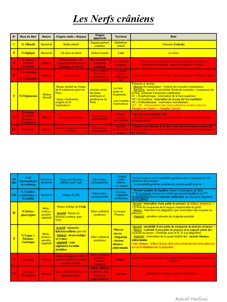 Nerfs Craniens PDF | PDF | Langue | Organe