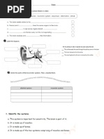 English Grammar - Family and Friends 5 - Class Book | PDF