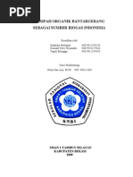 Download Sampah Organik Bantar Gebang Sebagai Sumber Biogas Indonesia by Mahli Vs Ilham SN35315135 doc pdf