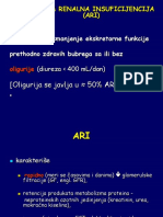 ARI20010.ppt