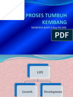 6.Review Proses Tumbang