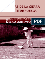 nahuas_sierra_norte_puebla (1).pdf