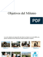 Objetivos Del Milenio