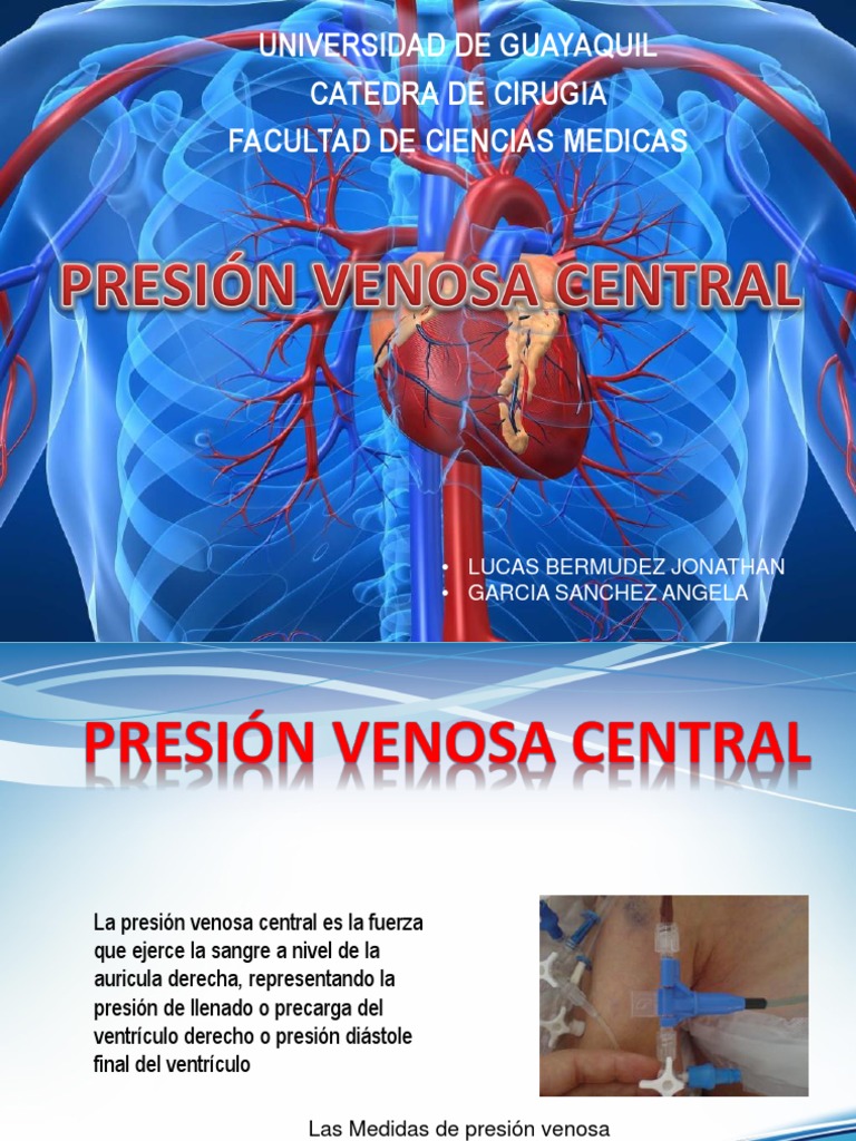 Presion Venosa Central PDF Vena Corazón