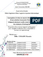 Final Rapport PDF