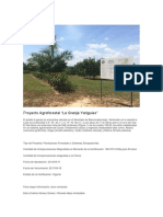 Proyecto Agroforestal