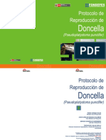 Manual Doncella