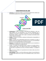 Caracteristicas Del Adn: Nombre: Andrea Caicedo Curso: 3ero BGU "B"