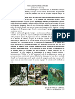 Animales en Peligro de Extinsión Articulo de Opinion