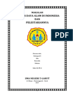 Download Makalah Sumber Daya Alam by leni SN353205953 doc pdf